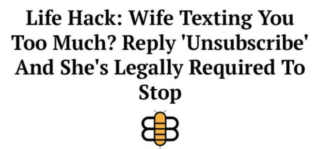 83-e6e8759d-8669-4fbd-8784-62cecebd610e.jpg